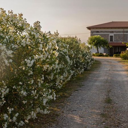 Agri Charme Tenuta Picilli Albanella Dış mekan fotoğraf