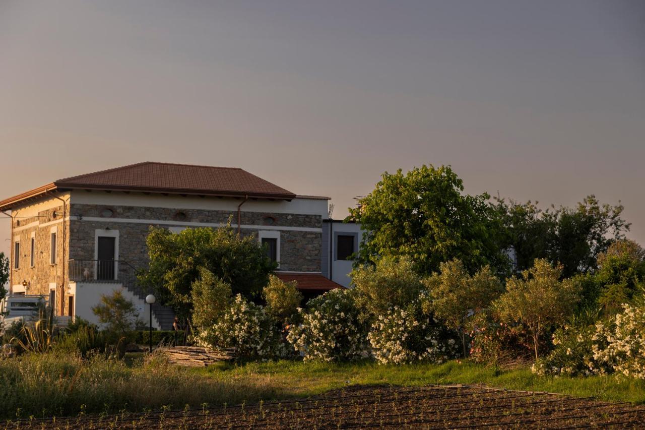 Agri Charme Tenuta Picilli Albanella Dış mekan fotoğraf