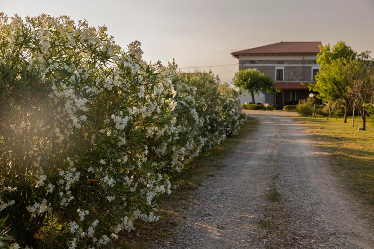 Agri Charme Tenuta Picilli Albanella Dış mekan fotoğraf